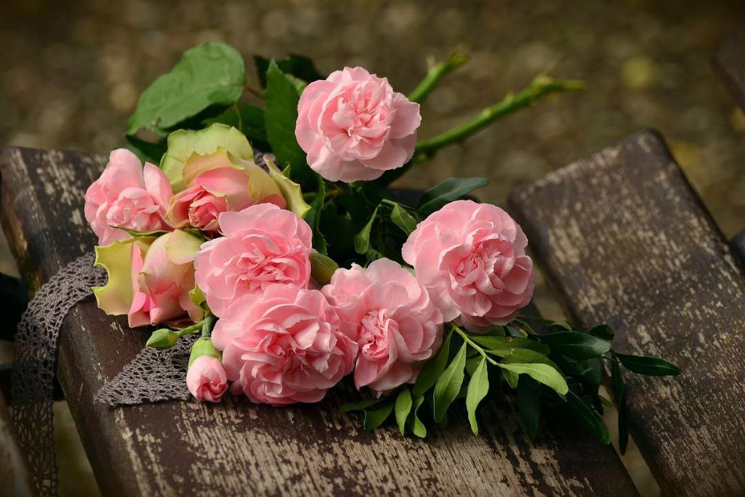pink roses on a brown rustic bench