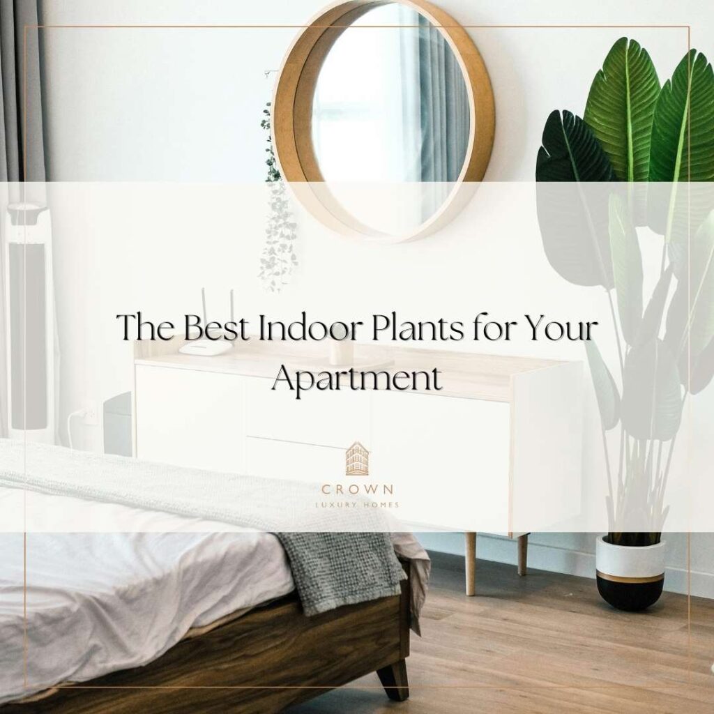 Photo inspiration: The Best Indoor Plants For Your Apartment Photo Inspiration